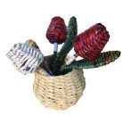 Színes tulipán ajándék