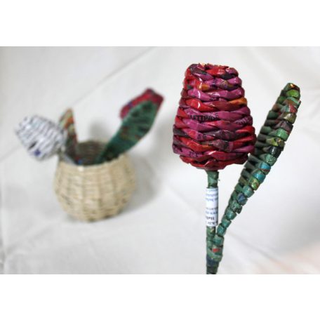 Színes tulipán ajándék