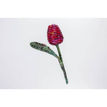 Színes tulipán ajándék