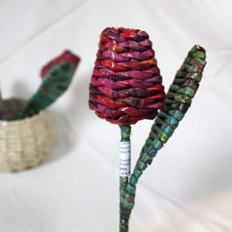 Színes tulipán ajándék