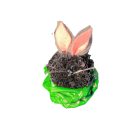 Small rabbit in grass basket decoration black and gray
